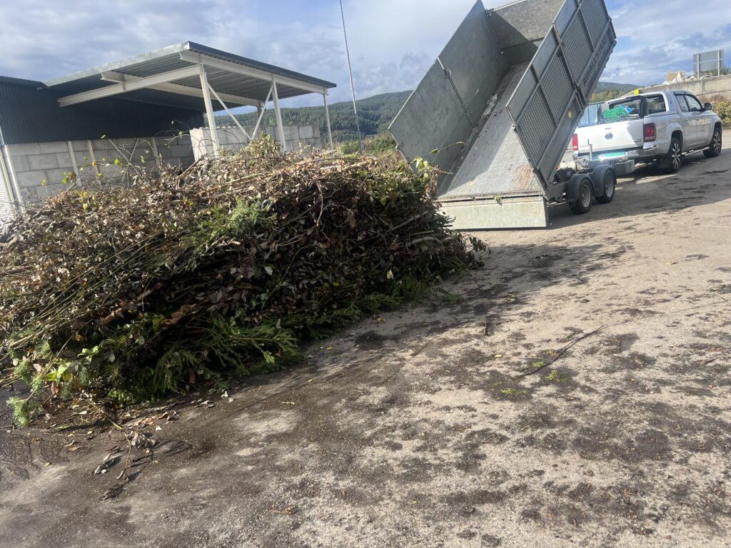 Hageavfall Drammen
